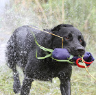 LagSM_110724_FÄLTH_146[1]